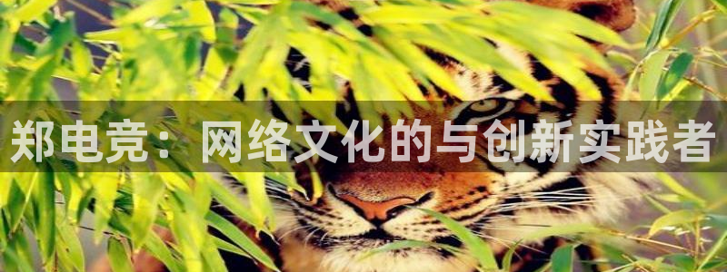 安博电竞登录网页版官网：郑电竞：网络文化的与创新实践者